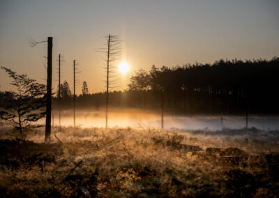 AndersBeier-LANDSCAPE -miru-studio-denmark