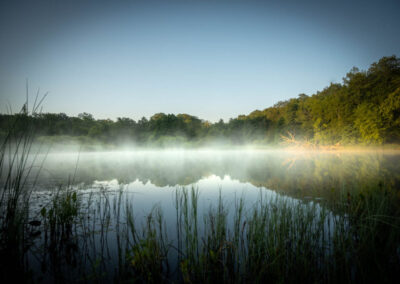 AndersBeier-LANDSCAPE -miru-studio-denmark